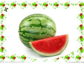 摸摸吃瓜网站,带你领略网络娱乐新风尚