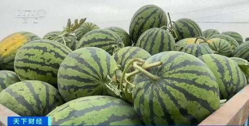 郑大钱吃瓜,揭秘娱乐圈幕后故事