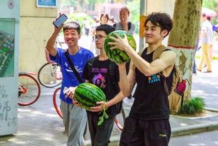 塔里木大学吃瓜大赛,瓜果飘香，欢乐满园