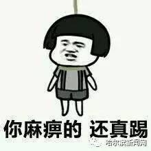 带你吃瓜奇葩中考,带你领略中考生“吃瓜”奇观