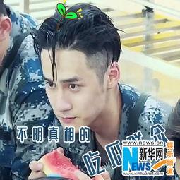 帅气吃瓜,揭秘娱乐圈的甜蜜与苦涩