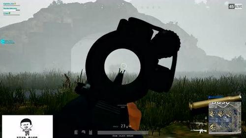 吃鸡迷雾的瓜,探寻游戏背后的神秘世界