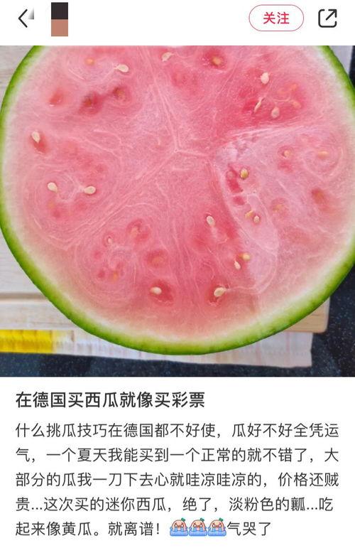 全网吃瓜最新下载