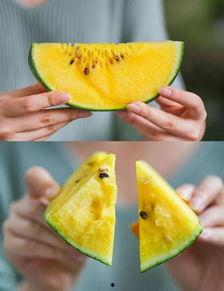 全网吃瓜最新下载