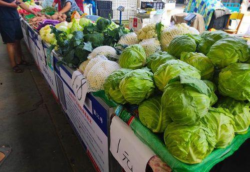 大妈吃瓜素菜,品味素菜生活新风尚