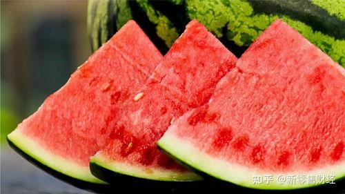 大妈吃瓜素菜,品味素菜生活新风尚