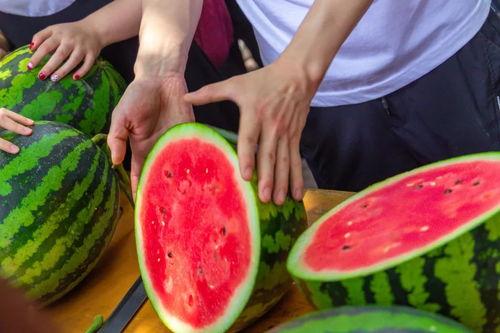 集美大学吃瓜事件,校园舆论风波背后的真相探究