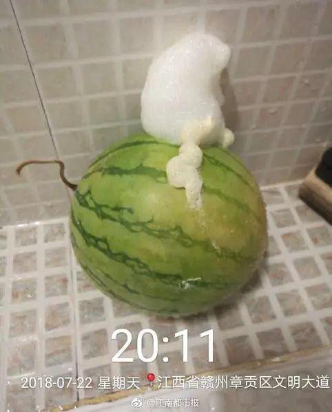 吃瓜少女吐泡泡视频