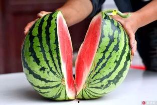 恶性吃瓜行为兰州,警惕恶性吃瓜行为，共建和谐网络环境