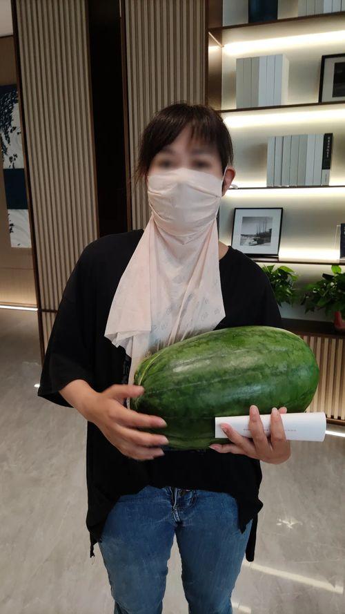 陈明矿吃大瓜,揭秘吃大瓜背后的故事