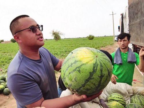 兼职石油兵 吃瓜