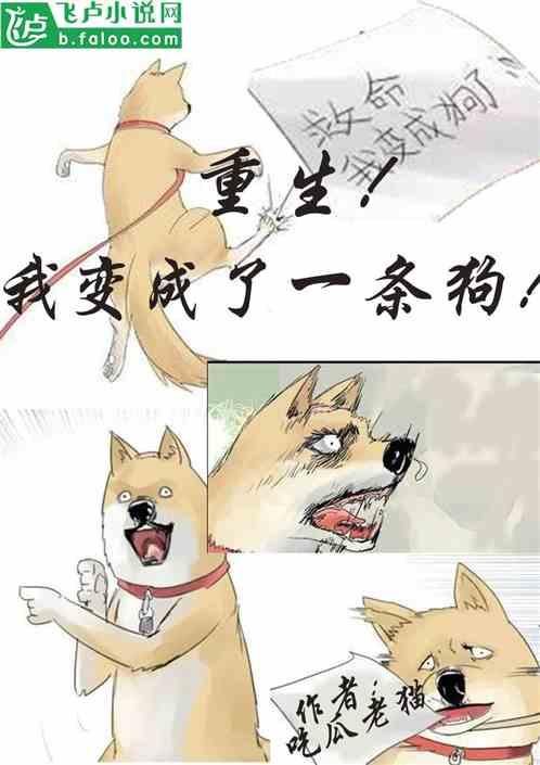 吃瓜维系小说,揭秘娱乐圈背后的秘密