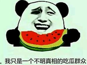 瓜瓜吃瓜词,揭秘娱乐圈的甜蜜与苦涩