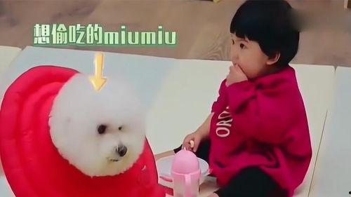 吃瓜小妞最新视频,娱乐圈幕后真相大曝光！