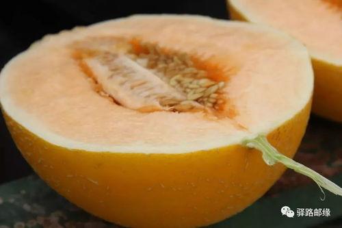 沙漠蜜瓜如何吃,解锁夏日清新美味