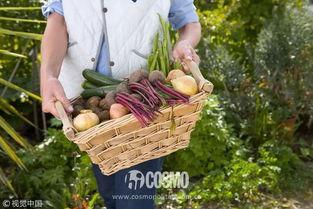 吃瓜群众搭配什么,揭秘娱乐圈背后的真相