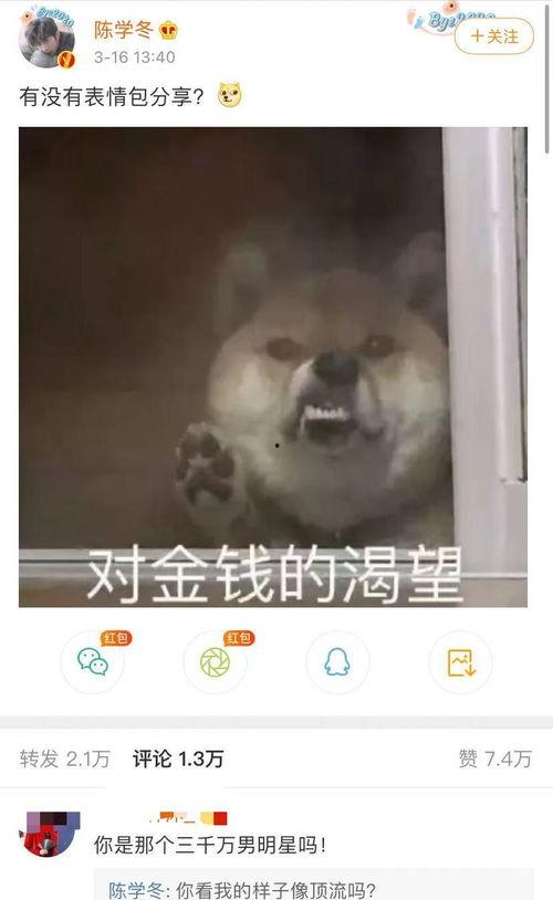 三哥吃瓜搞笑,笑料百出，瓜田里的欢乐时光