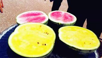 吃瓜爆料问题有哪些,吃瓜爆料背后的真相与争议