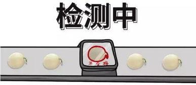 吃瓜爆料问题有哪些,吃瓜爆料背后的真相与争议