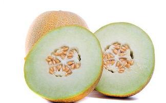 吃哈密瓜好辣,探寻独特口感之谜