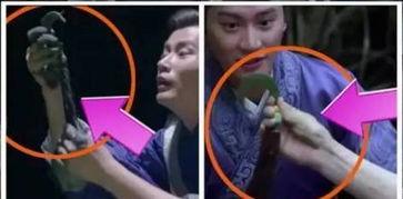 带你吃瓜穿帮,吃瓜穿帮背后的趣味与真相