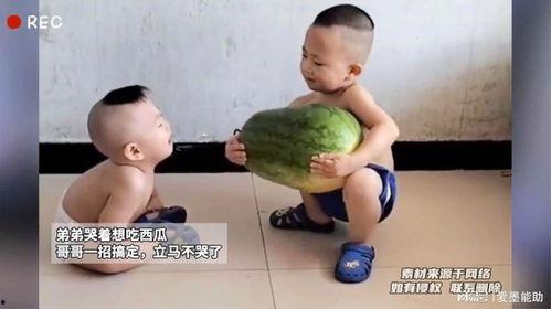 哥哥有瓜吃吗,揭秘他的美食生活
