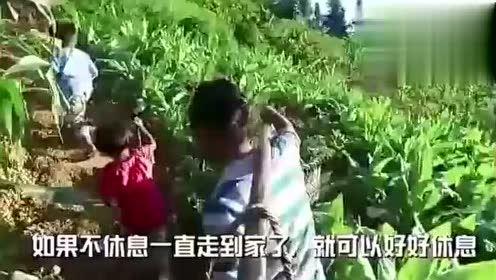 青海阿爸吃瓜视频